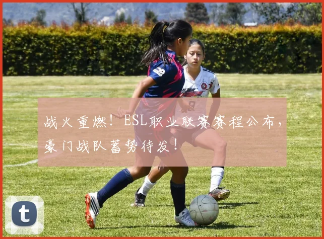 战火重燃！ESL职业联赛赛程公布，豪门战队蓄势待发！