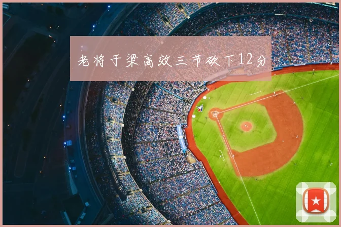 老将于梁高效三节砍下12分