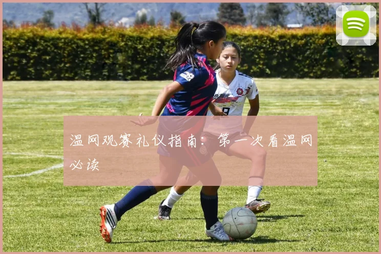 温网观赛礼仪指南：第一次看温网必读