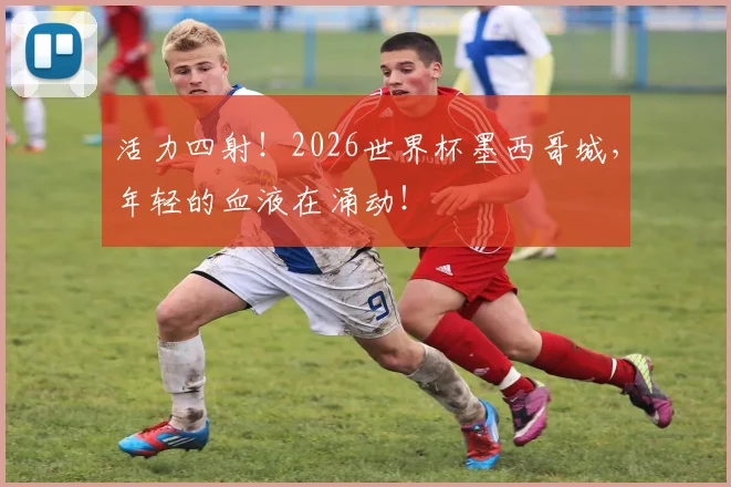 活力四射！2026世界杯墨西哥城，年轻的血液在涌动！