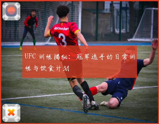 UFC 训练揭秘:冠军选手的日常训练与饮食计划