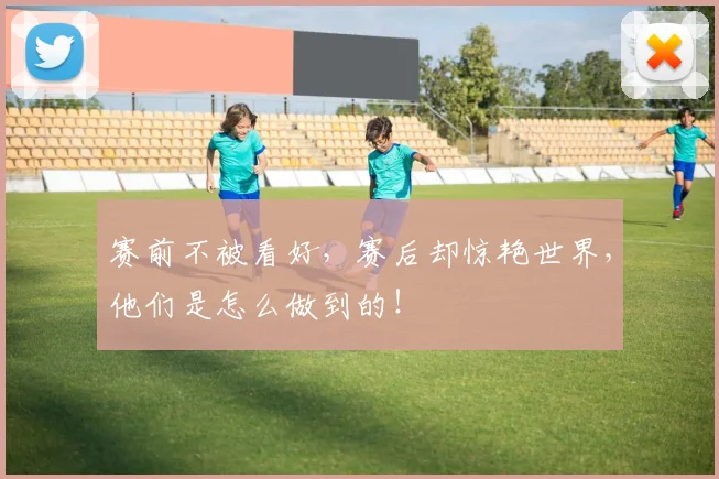 赛前不被看好,赛后却惊艳世界,他们是怎么做到的!