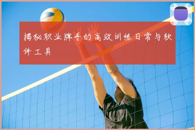 揭秘职业牌手的高效训练日常与软件工具