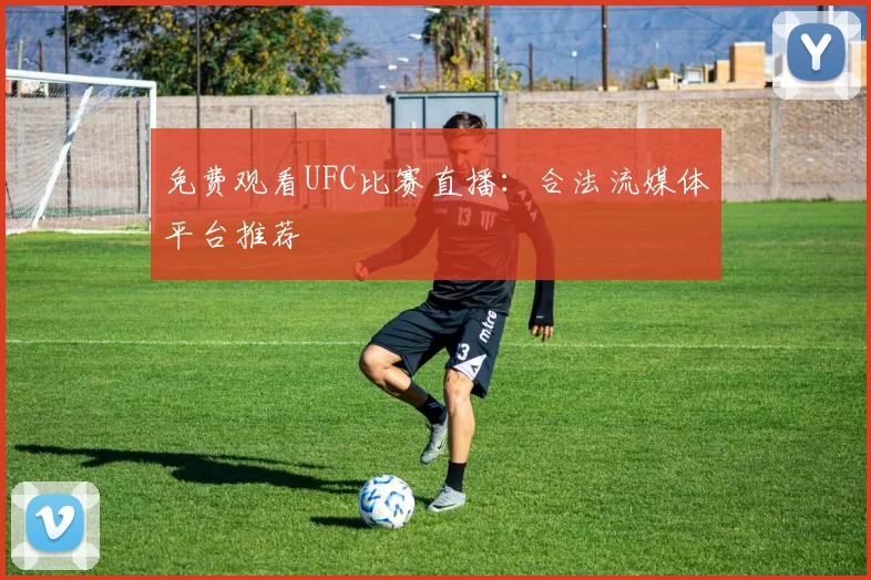 免费观看UFC比赛直播：合法流媒体平台推荐