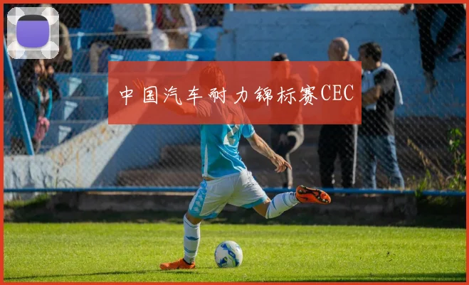 中国汽车耐力锦标赛CEC