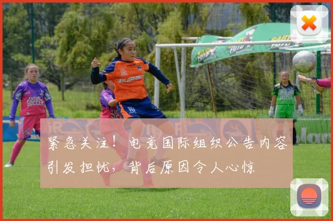紧急关注!电竞国际组织公告内容引发担忧,背后原因令人心惊