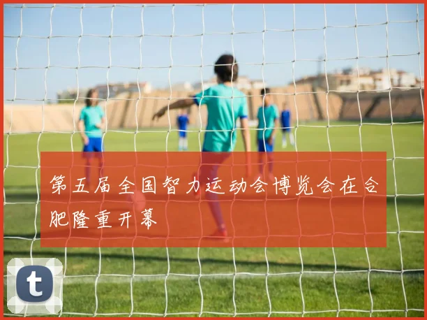 第五届全国智力运动会博览会在合肥隆重开幕