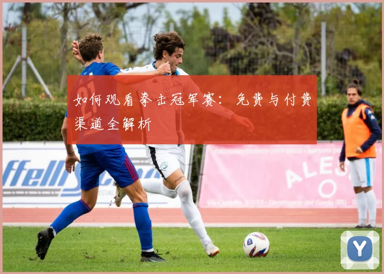 如何观看拳击冠军赛：免费与付费渠道全解析
