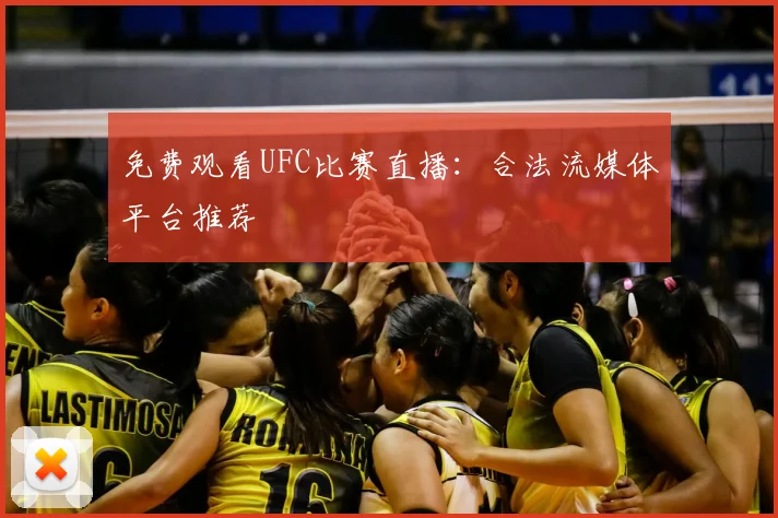 免费观看UFC比赛直播：合法流媒体平台推荐