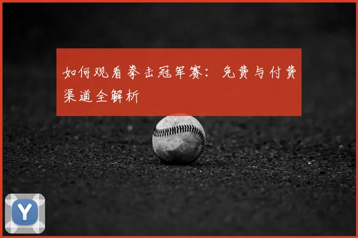 如何观看拳击冠军赛：免费与付费渠道全解析