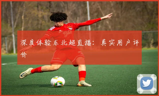 深度体验东北超直播：真实用户评价